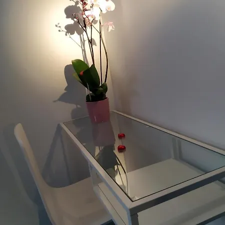 Alloggio in famiglia Master Bedroom In Design Penthouse *